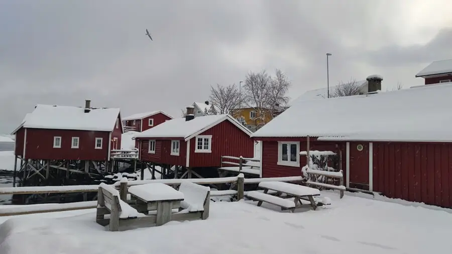 Viaje a medida por las Islas Lofoten