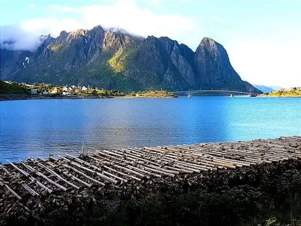 Vistas de los secaderos de bacalao en las Islas Lofoten